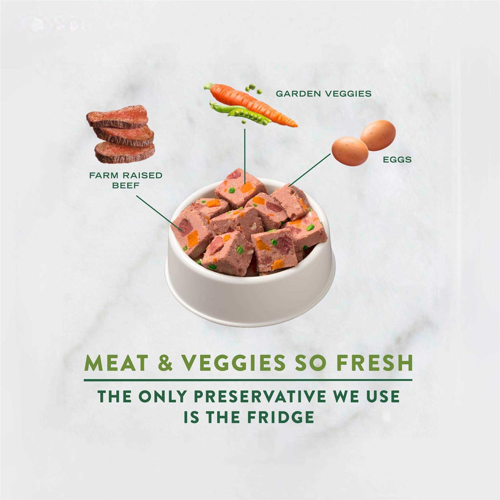 Chunky Beef Recipe Dog Food I478243