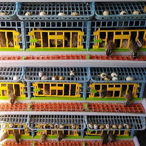 5 Layer ABS Plastic Quail Cage H491773