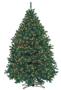 7.5' Pre-Lit Alaskan Fir Tree with Clear Incandescent Lights I652566