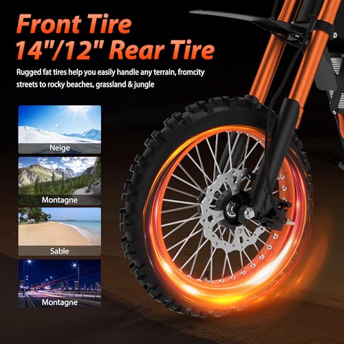 14"/12" Fat Tire 2000W Electric Dirt Bike with 48V 21AH Battery D47651