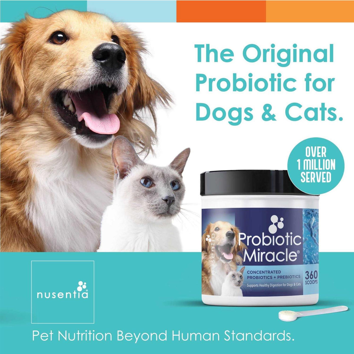Probiotics for Dogs T761