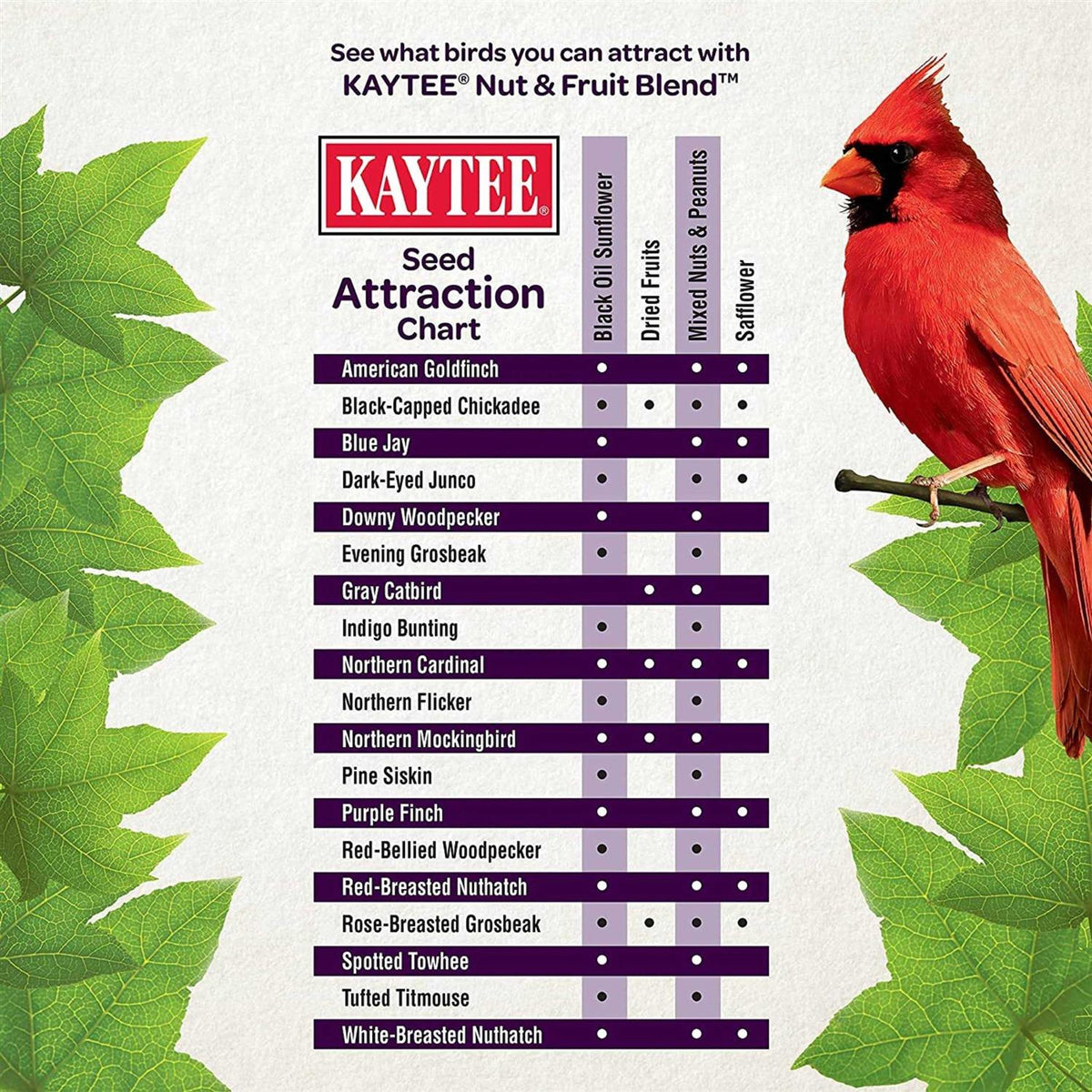 Nut Fruit Blend Wild Bird Food P653647