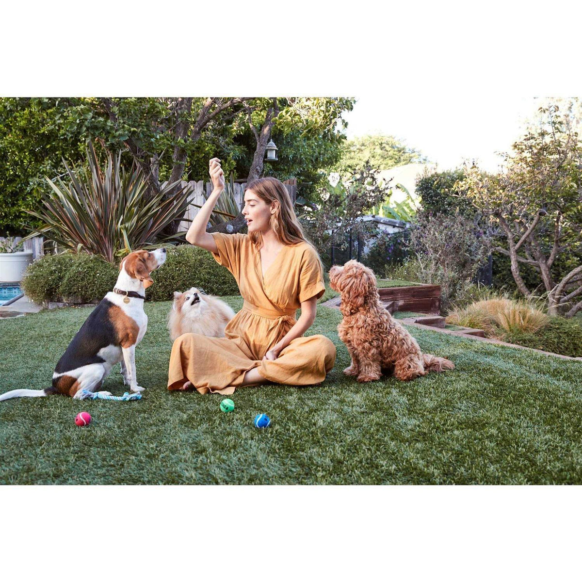 All Natural Chicken Jerky Dog Treats D26621
