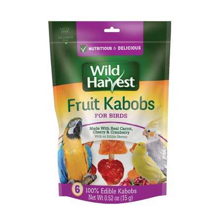 Fruit Kabobs Bird Treats, 6 count O463879