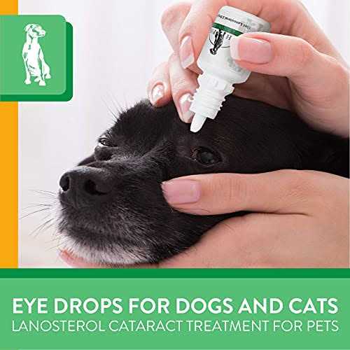 Advanced Lanosterol Solution + NAC Pet Supplies Q384864