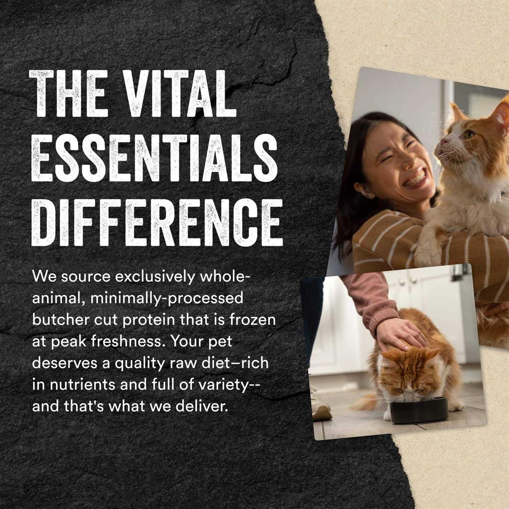 Freeze-Dried Raw Duck Cat Food S42398