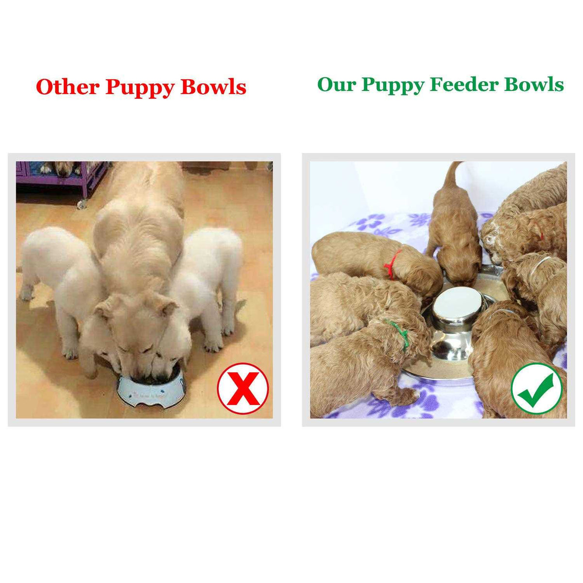 Stainless Steel Puppy Feeding Food and Water Bowls G431637