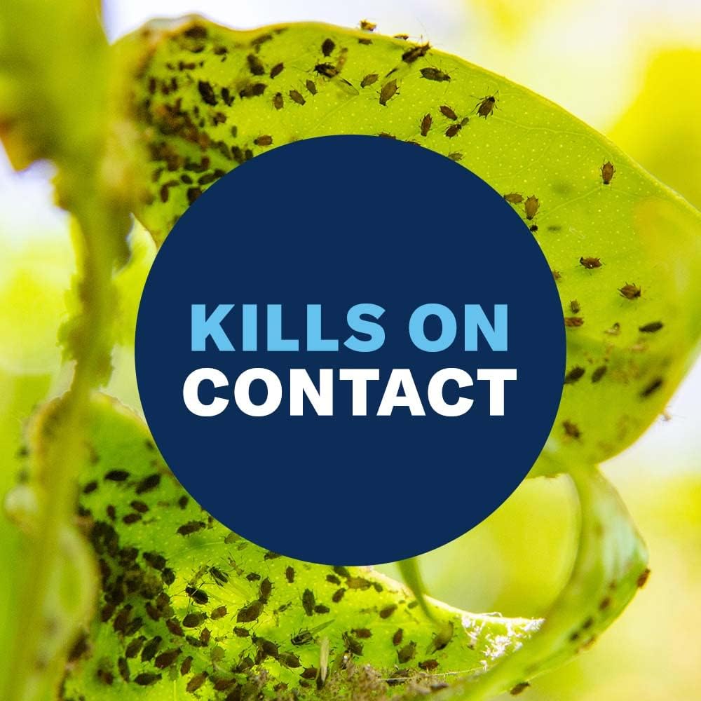 24 oz Houseplant Insect & Mite Control U67497