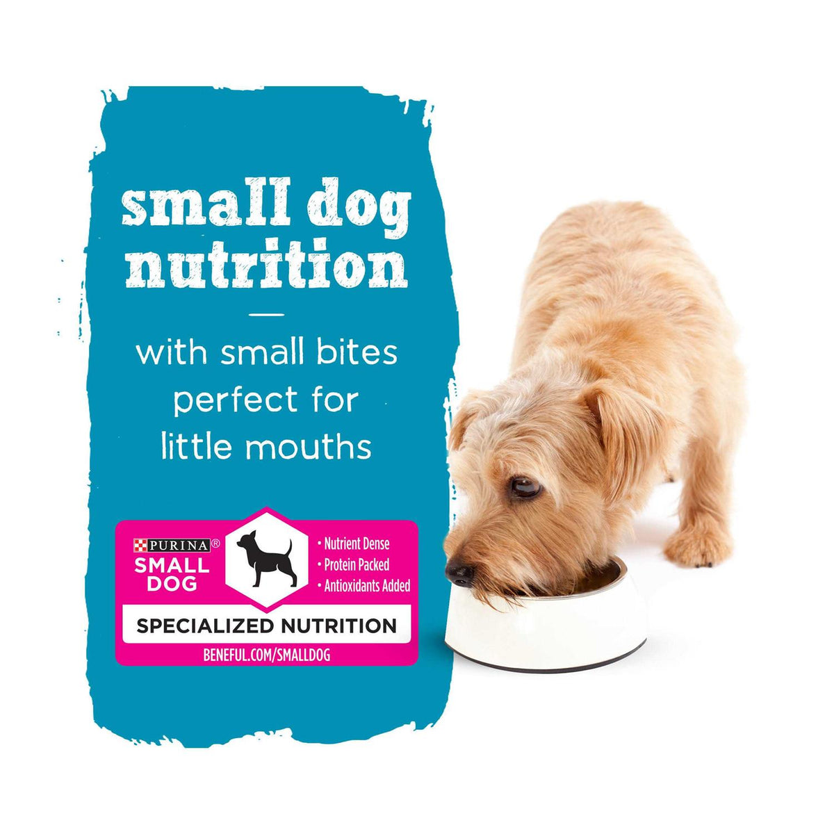 Small Breed Wet Dog Food Variety Pack R2611