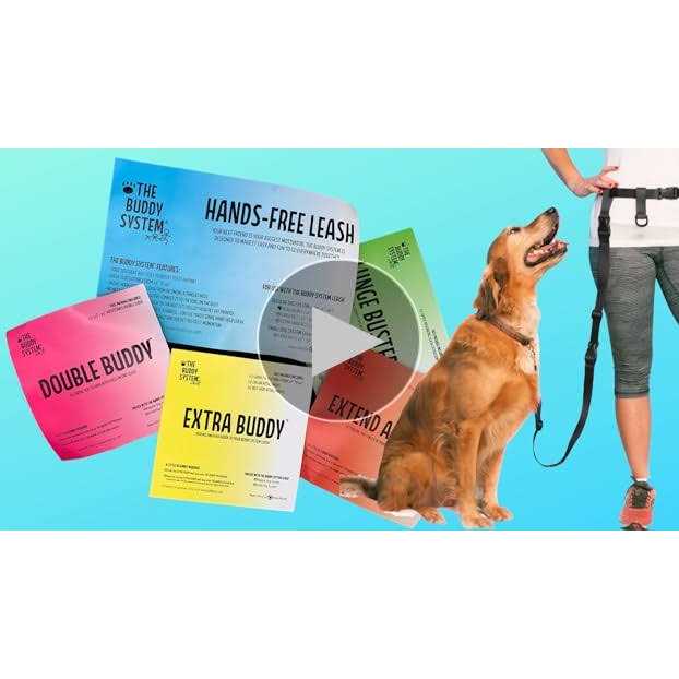 Adjustable Hands Free Dog Leash F7217