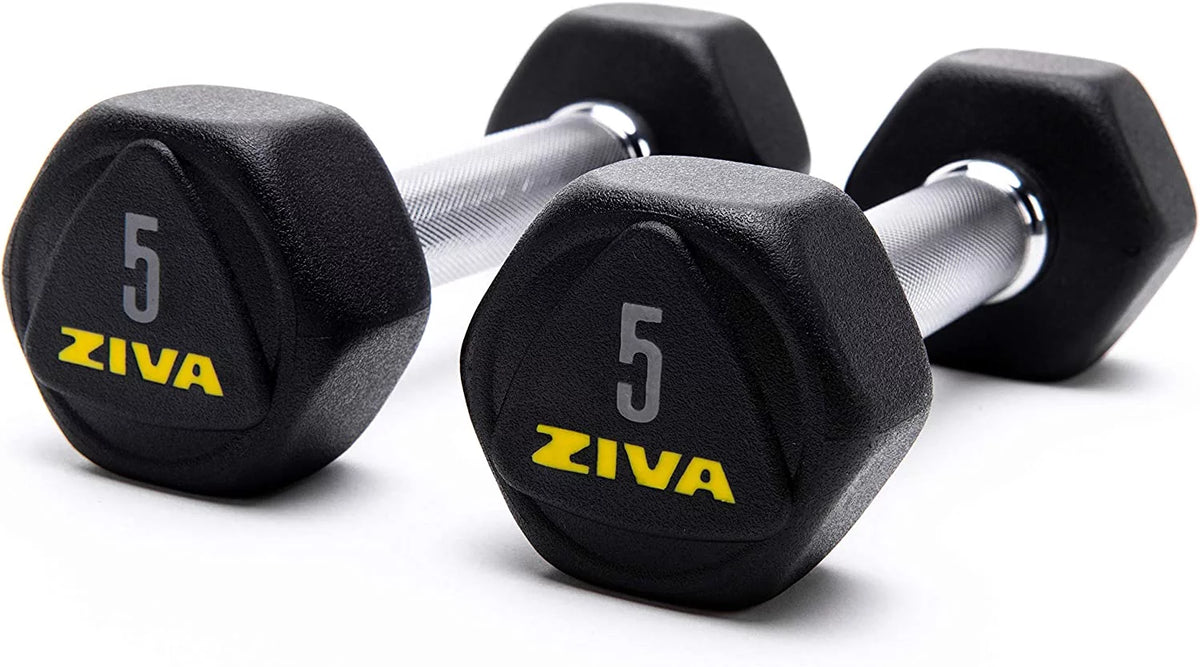 20 Lbs Hex Dumbbells Weight Set T6343