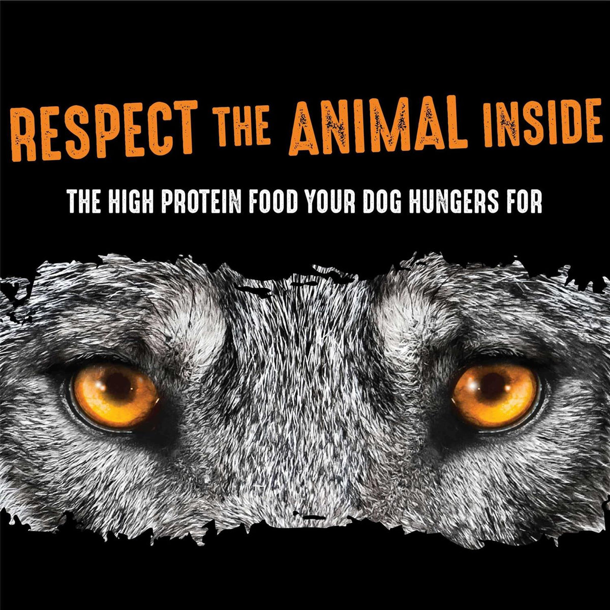 Grain Free Adult Dry Dog Food with Protein N878970