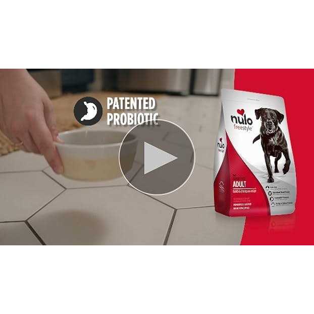 Grain-Free Dry Dog Food C730713