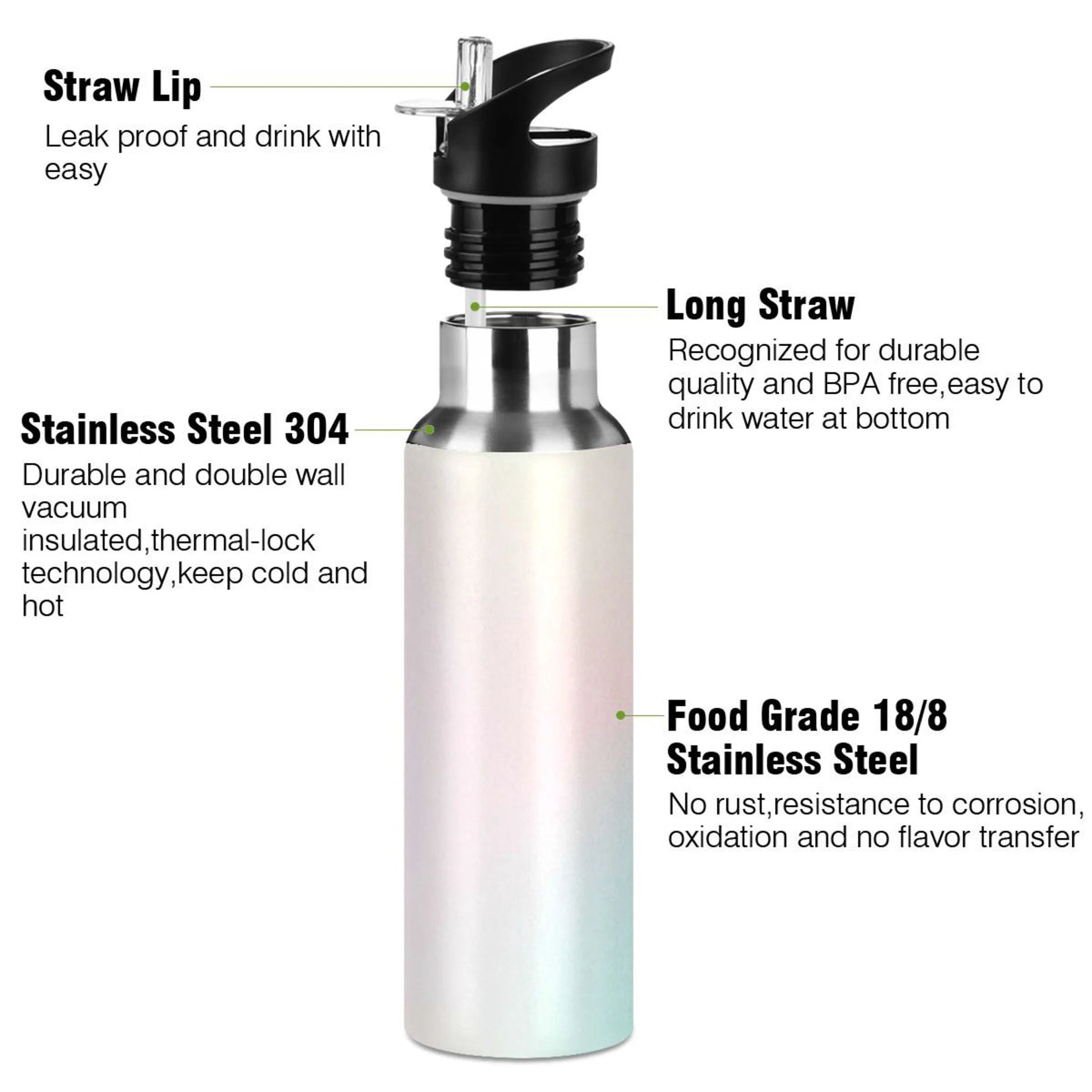 20 OZ Stainless Steel Vacuum Insulated Water Bottle with Straw Lid D975
