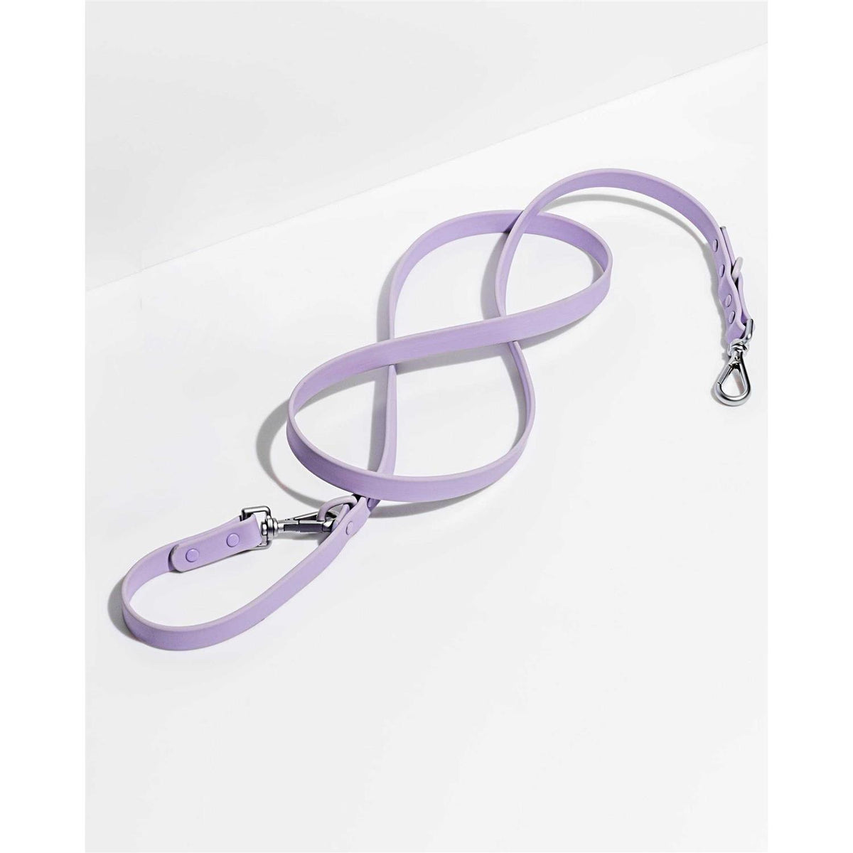 Dog Leash A5635