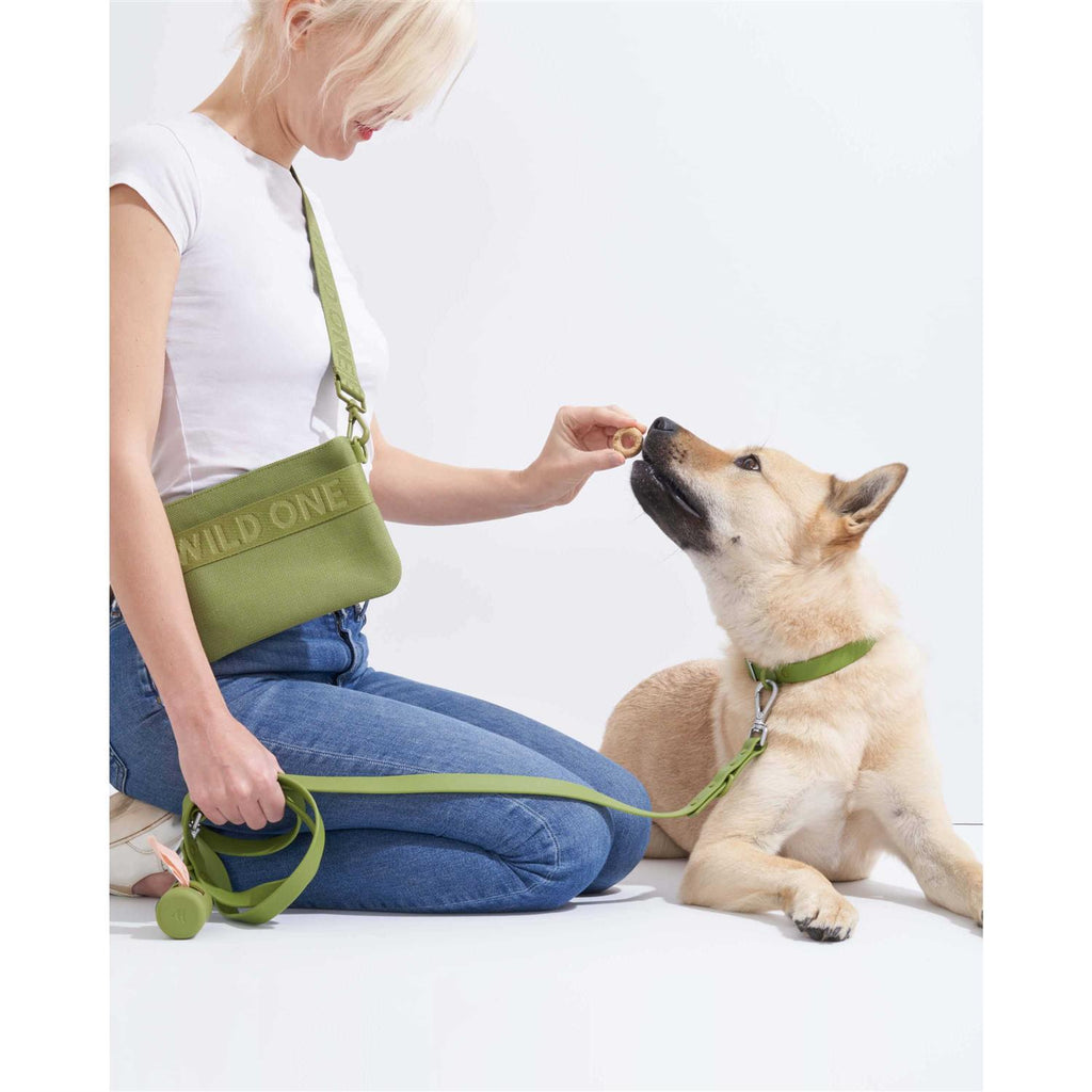 Dog Leash A5635