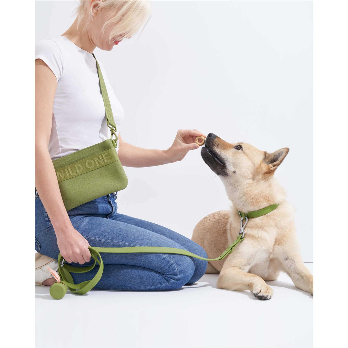 Dog Leash A5635