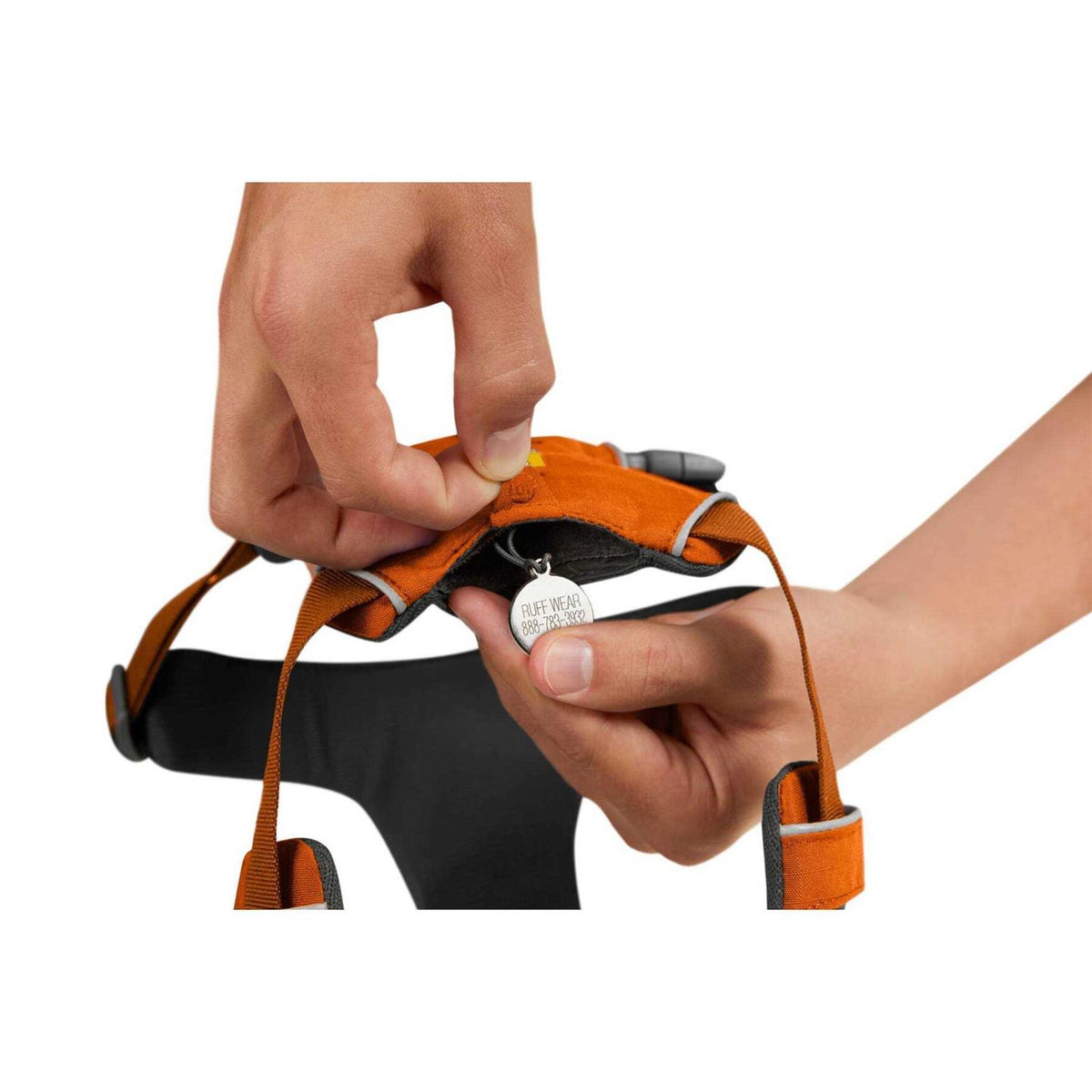 Front Range Harness A420058