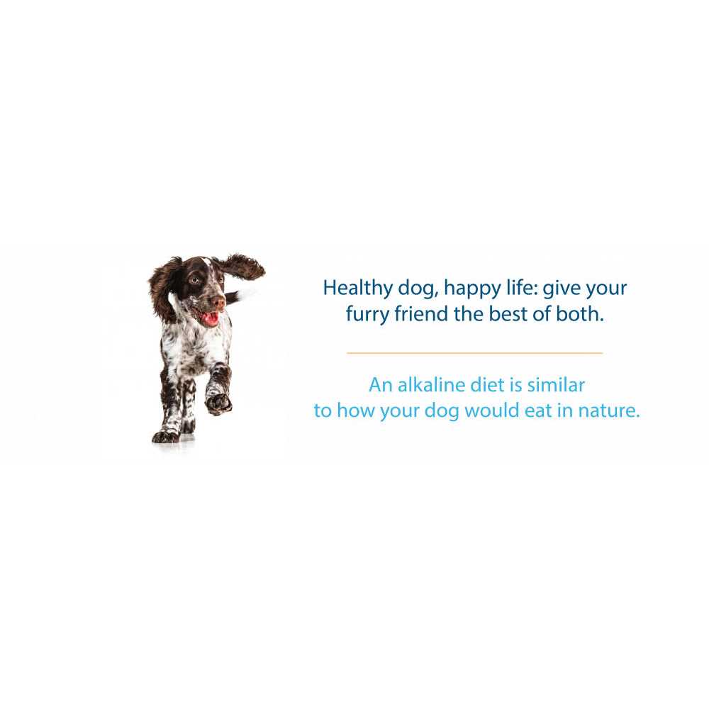 Grain-Free Dry Dog Food Q356