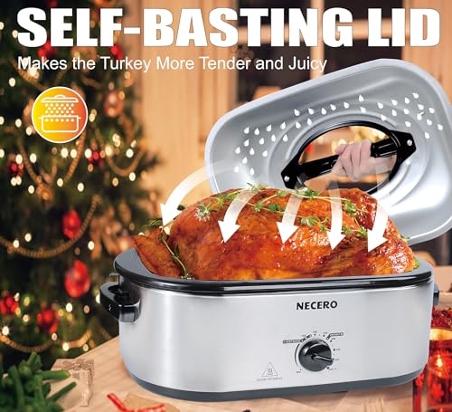 22Qt Electric Roaster Oven with Glass Lid and Removable Pan L121