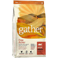 Organic Free-Run Chicken Dry Cat Food Z13697