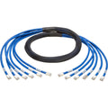 CAT 6a UTP 10 ft Blue Network Cable W309
