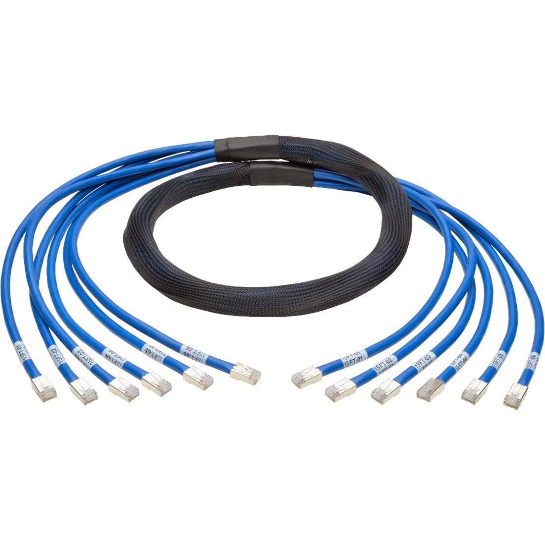 CAT 6a UTP 10 ft Blue Network Cable W309