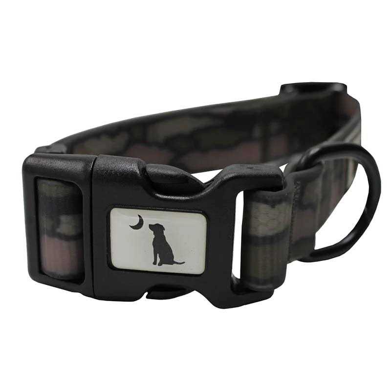 Dog Collar I690124