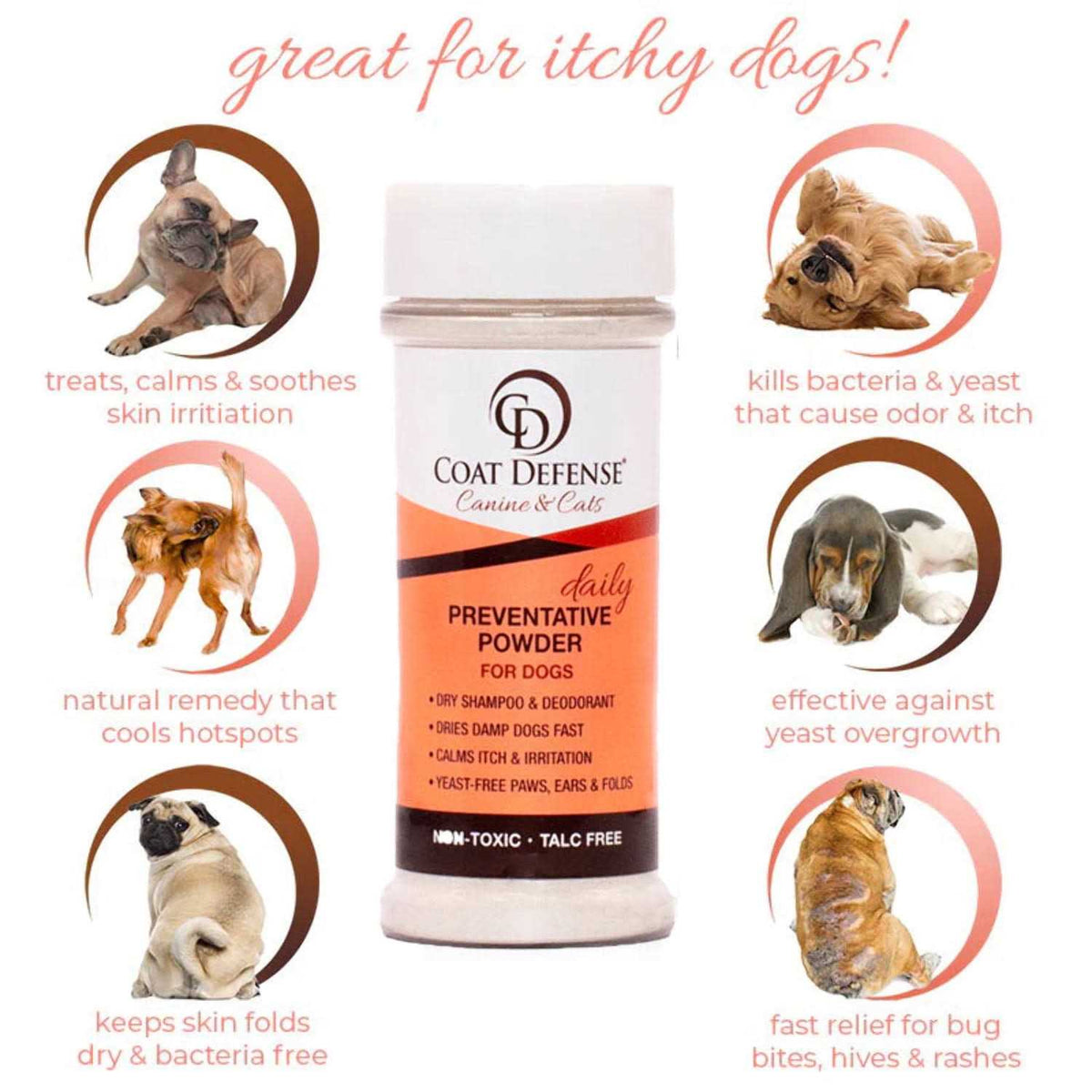Canine & Cat Daily Preventative Powder E163
