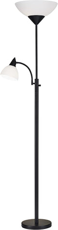 Brushed Steel Floor Lamp with Reading Light N283903