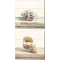Canvas Art (Set of 2) R62649