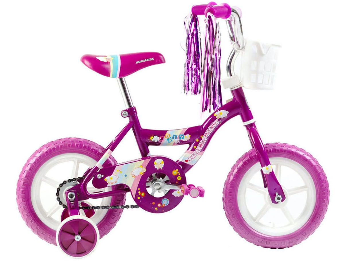 12 inch Bike for 2-4 Years Old Kids with Training Wheels A2114