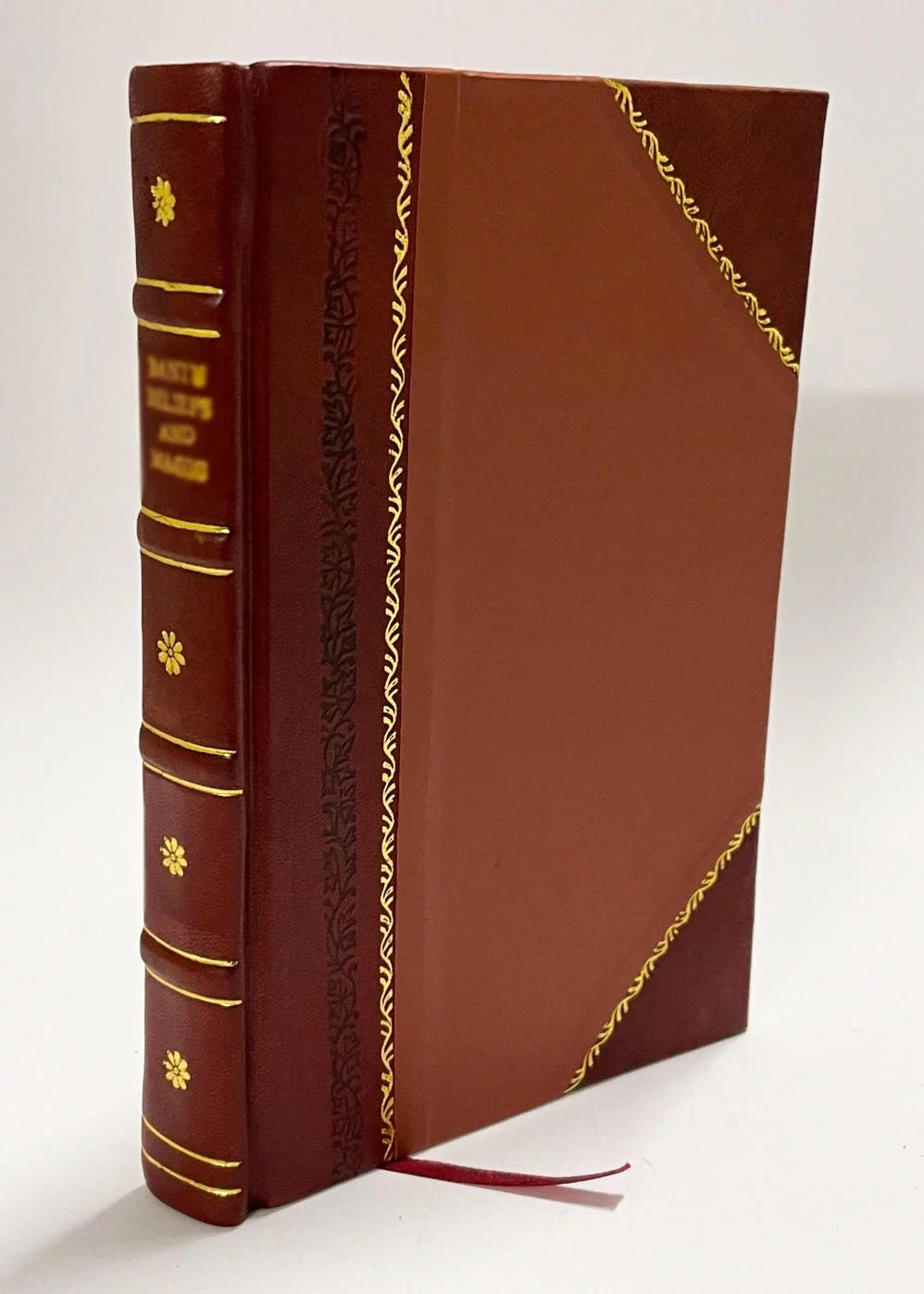 Leather Bound Book A487