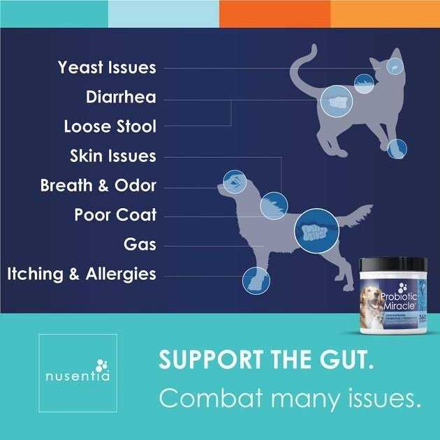 Probiotics for Dogs T761