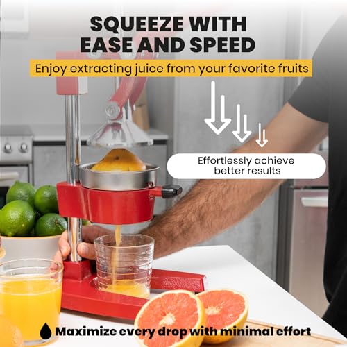 Manual Metal Citrus Juicer Press Q83325