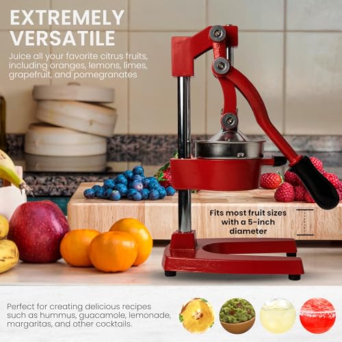 Manual Metal Citrus Juicer Press Q83325