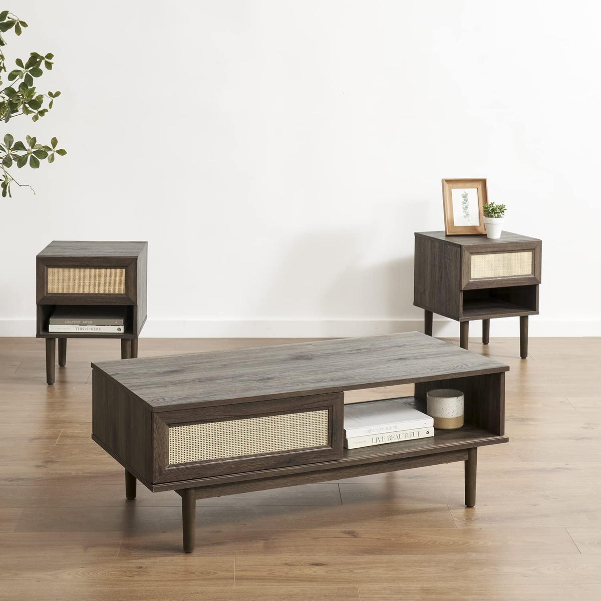 Rattan Cane Coffee Table with Sliding Doors X5947