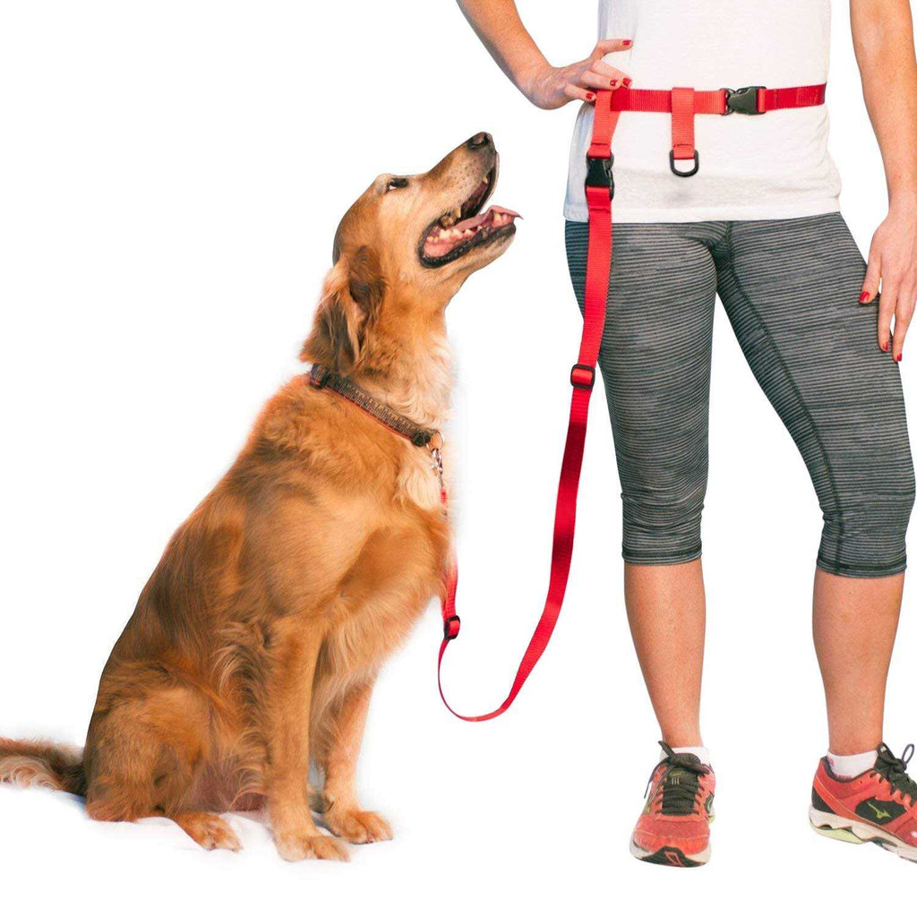 Adjustable Hands Free Dog Leash F7217