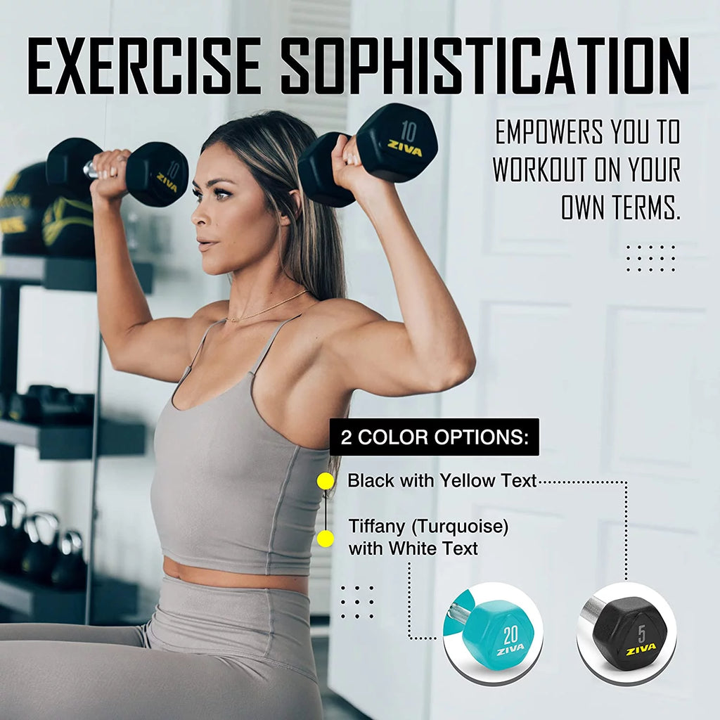 20 Lbs Hex Dumbbells Weight Set T6343