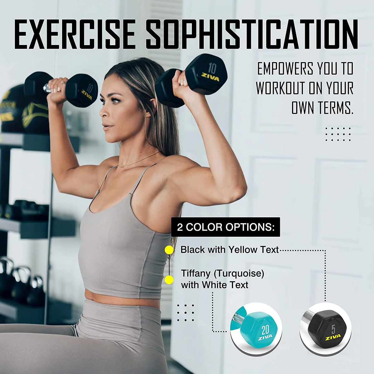 20 Lbs Hex Dumbbells Weight Set T6343