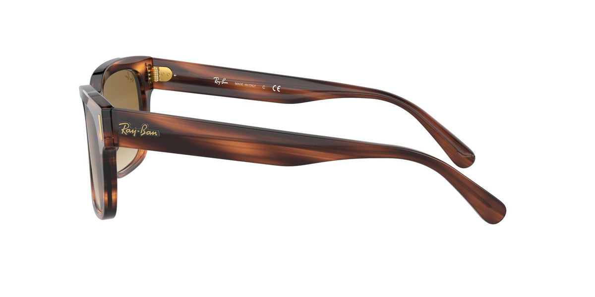 Black Sunglasses Y819