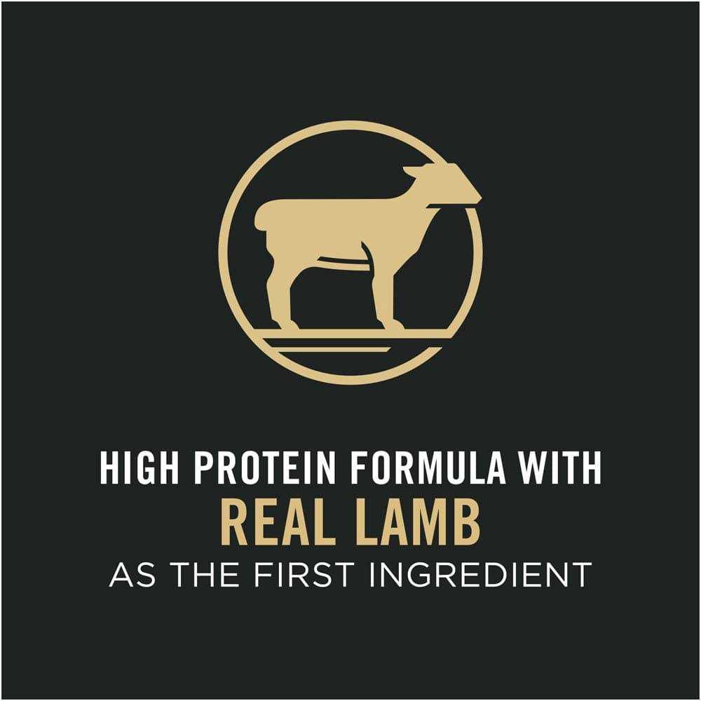 Sensitive Skin & Stomach Lamb & Rice Dry Cat Food E878