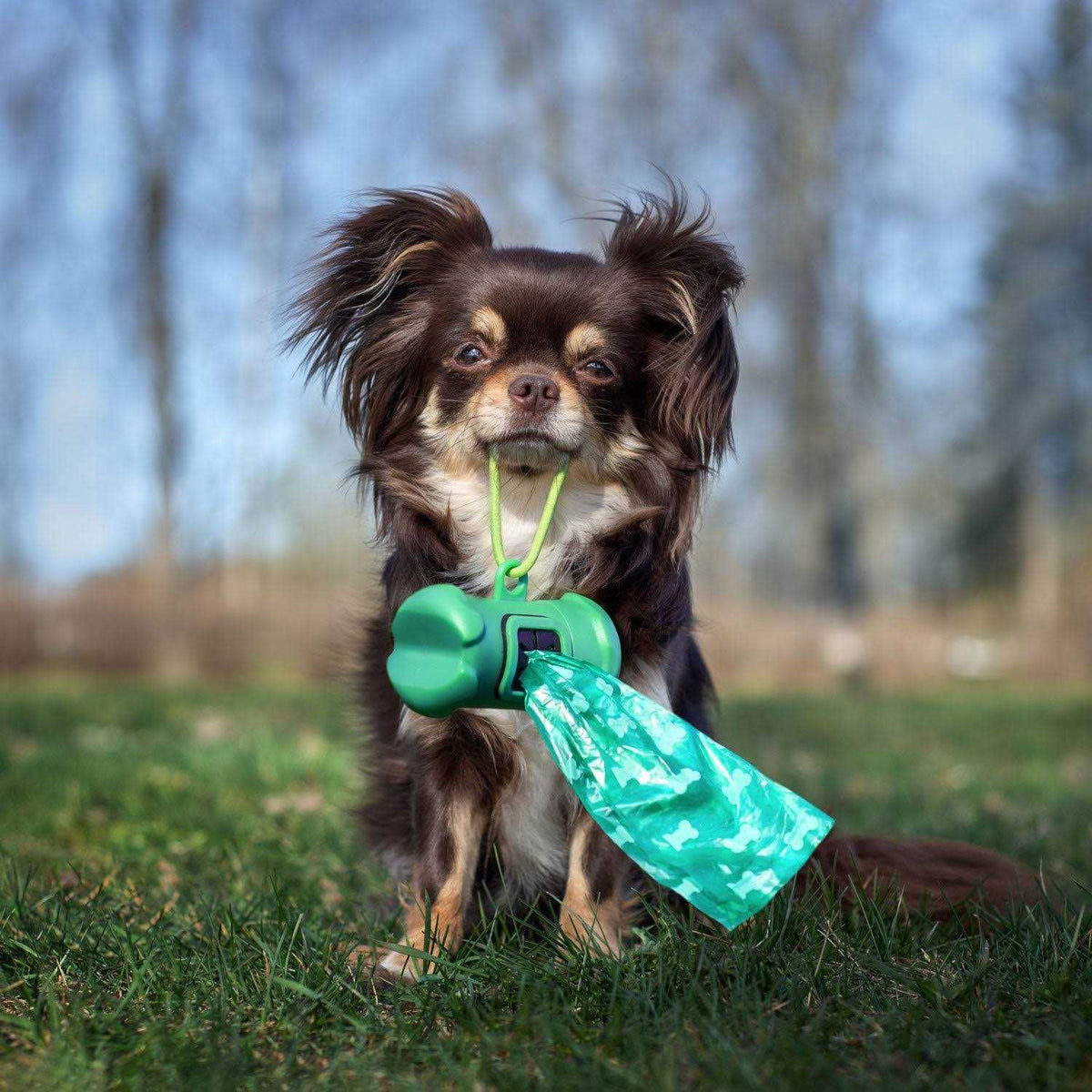 Probiotics for Dogs T761
