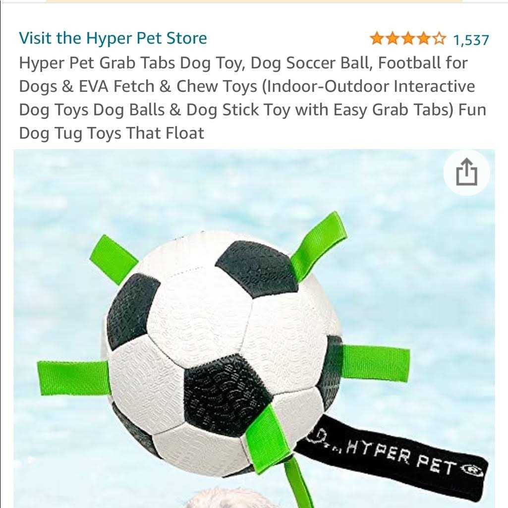Soccer Ball Dog Toy H35856