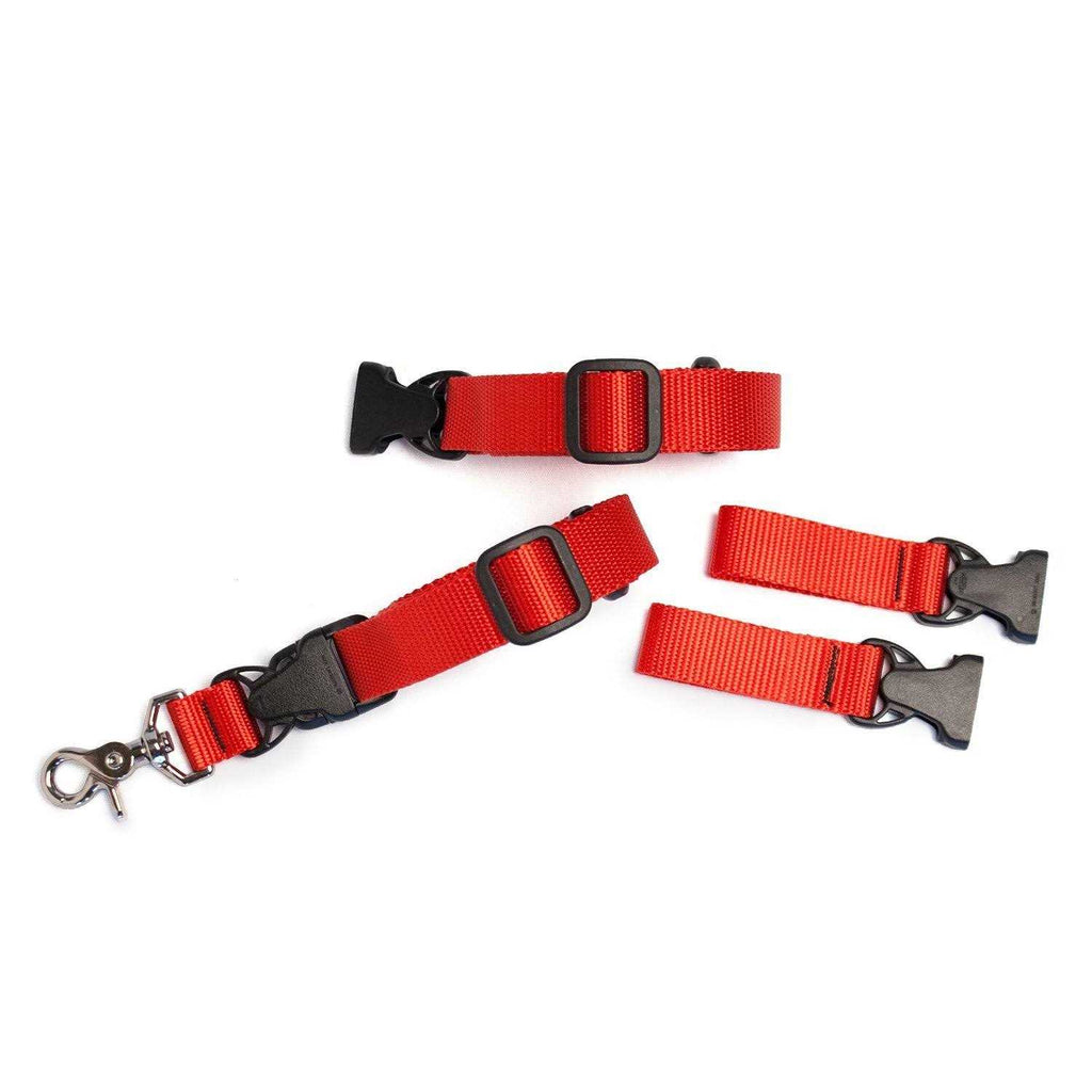 Adjustable Hands Free Dog Leash F7217