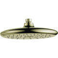 Polished Brass Single-Setting Shower Head N395