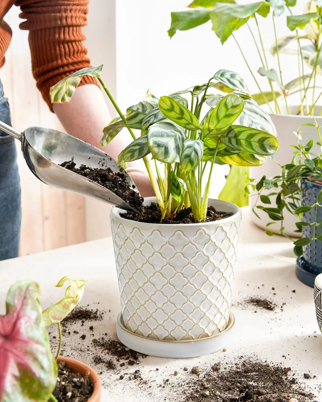5.4 Inch Embossed Ceramic Plant Pots with Drainage, Set of 2, White I28965