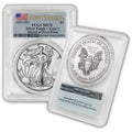 1 oz Silver American Eagle Coin MS-70 Type 1 F96617
