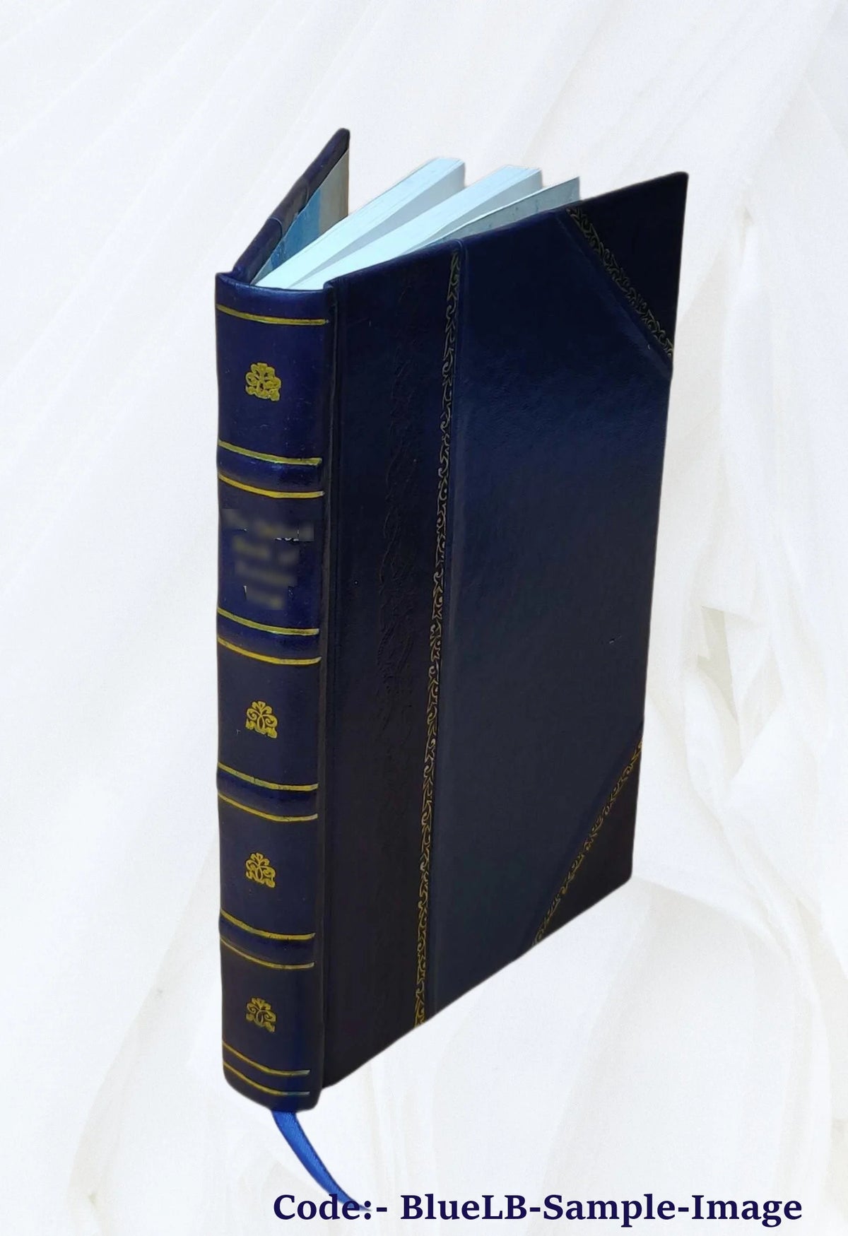 Leather Bound Book M241299