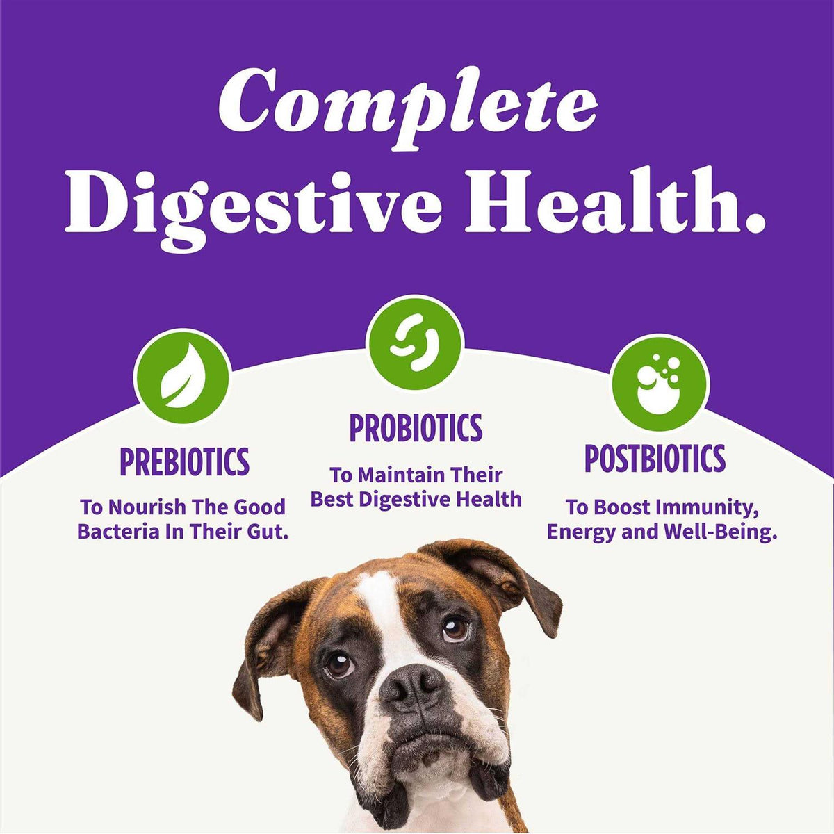 Adult Dry Dog Food U2774